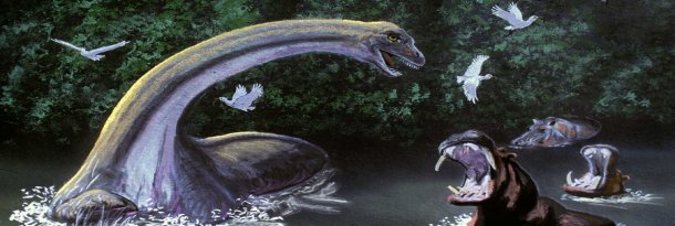 What is known about Mokele Mbembe? - Quora