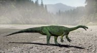 Aardonyx Dinosaur