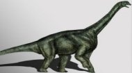 Atlasaurus Dinosaur