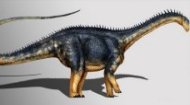 Australodocus Dinosaur