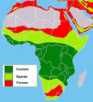 African Leopard Map