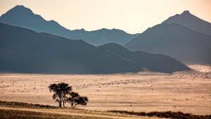Namibia Desert Webcam